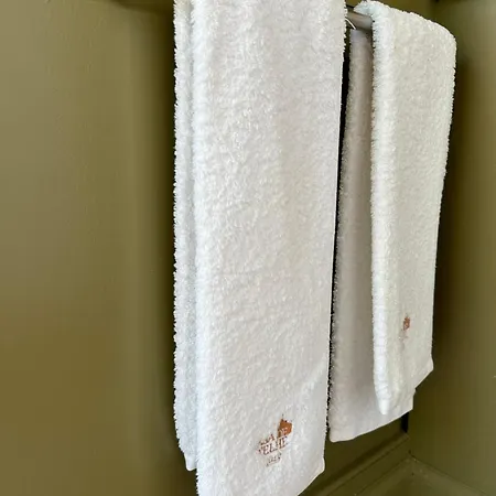 Casa De Telhe - Boutique Manor House Casa de Férias Marco de Canavezes