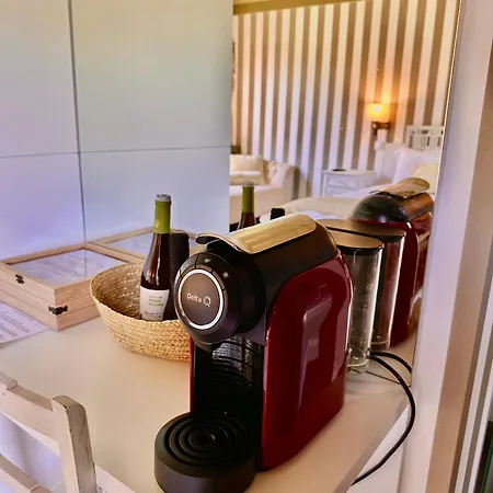 Casa de Férias Casa De Telhe - Boutique Manor House *