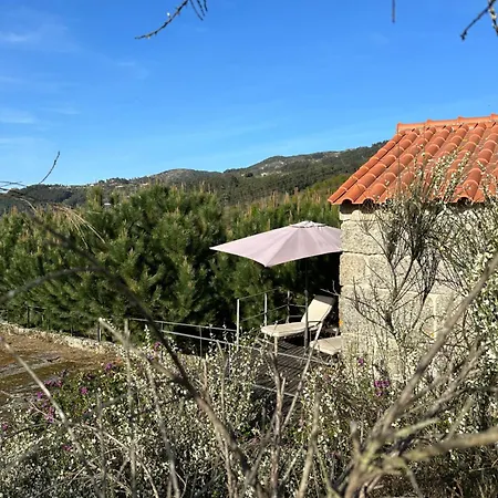 Casa De Telhe - Boutique Manor House Marco de Canavezes