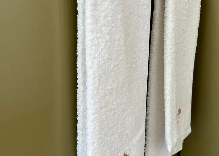 Casa De Telhe - Boutique Manor House Dom wakacyjny Marco de Canavezes